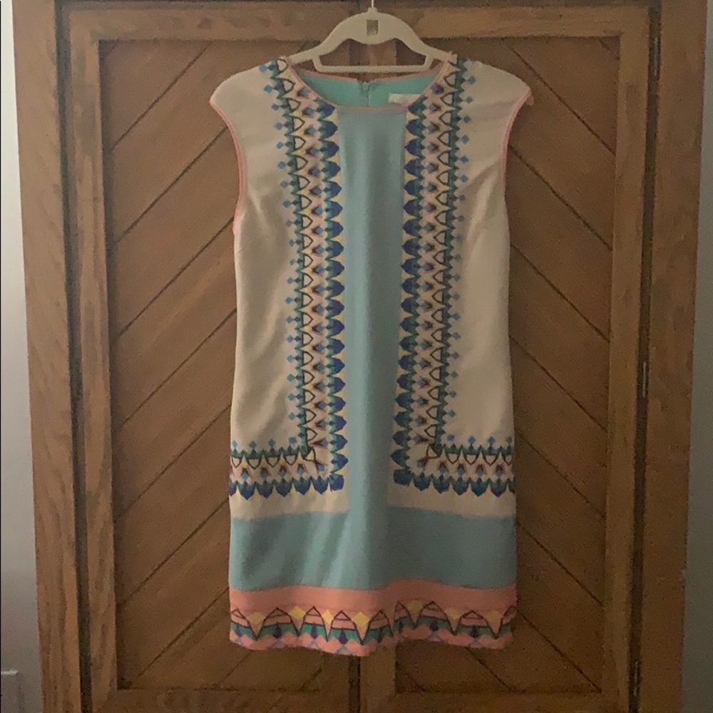 NWOT Champagne and Strawberry Shift Dress